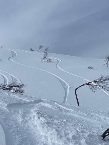 Lotte Arai Resort  Справочник по курорту
