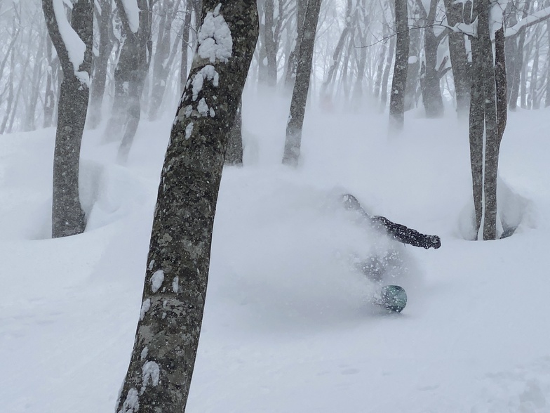 Goryu Backcountry -TJ, Hakuba Goryu