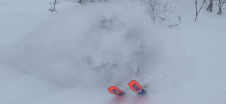 Goryu Backcountry - SJF, Hakuba Goryu