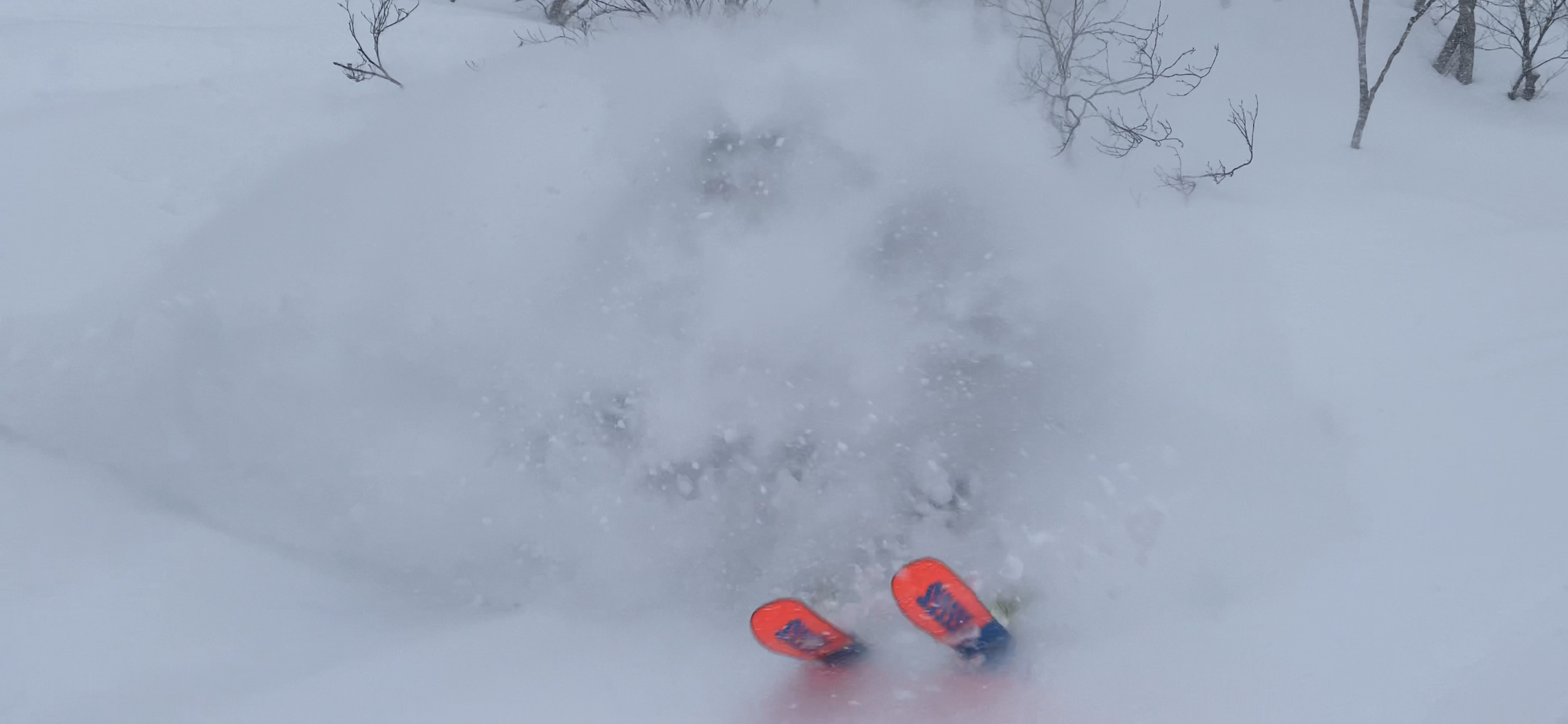 Goryu Backcountry - SJF, Hakuba Goryu