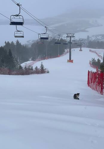 ГСОК Казань (Cвияга) Ski Resort by: Igor Letov