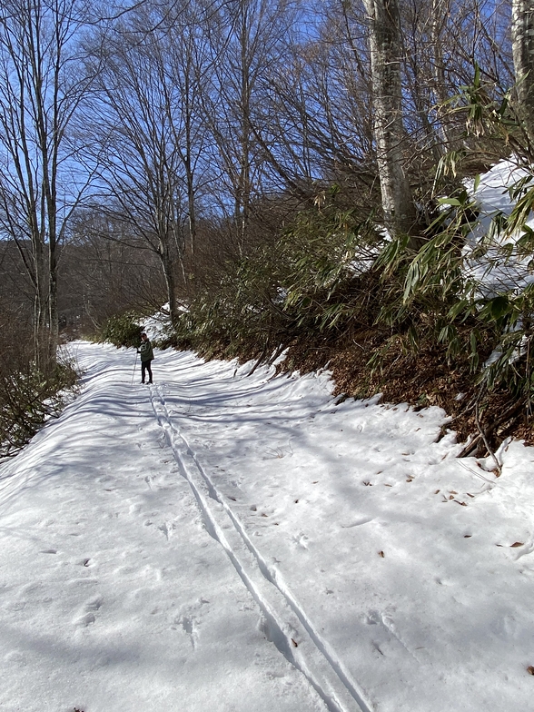 ski trekking, Nozawa Onsen