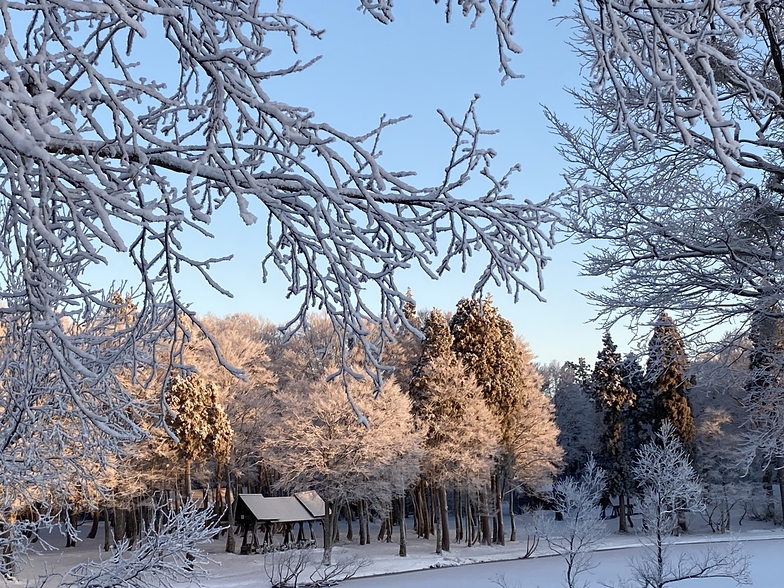 morning sun, Nozawa Onsen