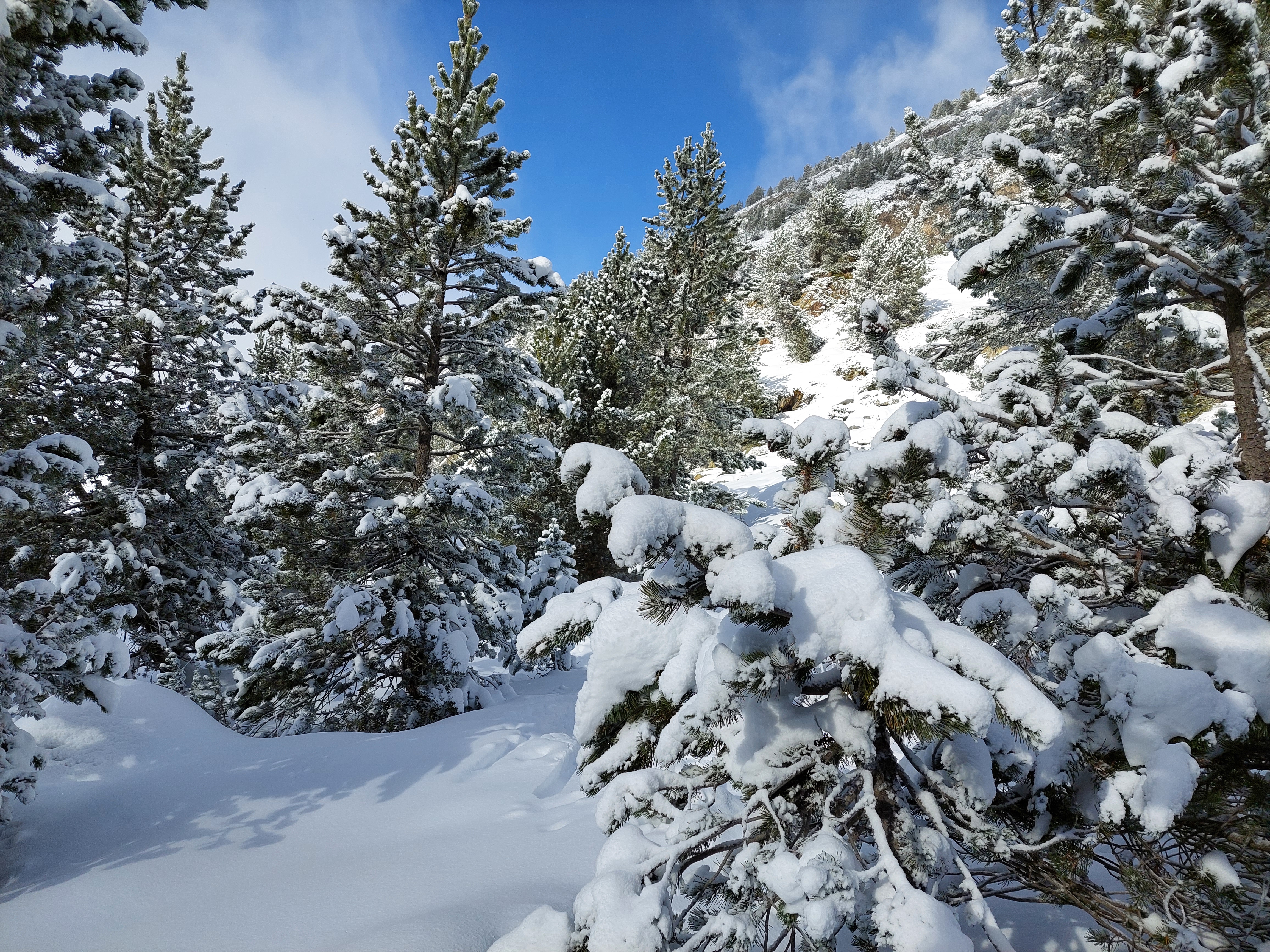 Baqueira-Beret, Baqueira/Beret