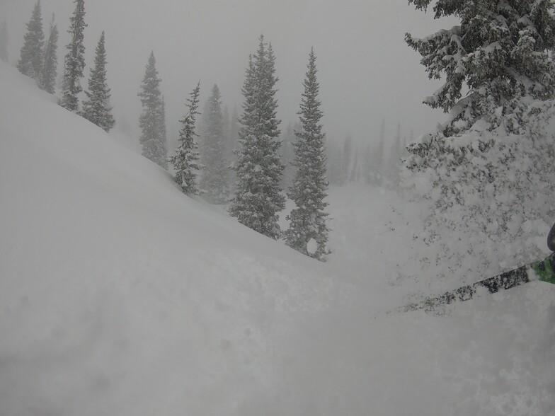 Waist deep North St Pats, Steamboat