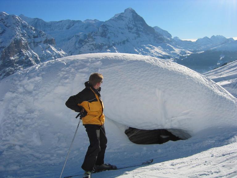 FIRST, GRINDELWALD