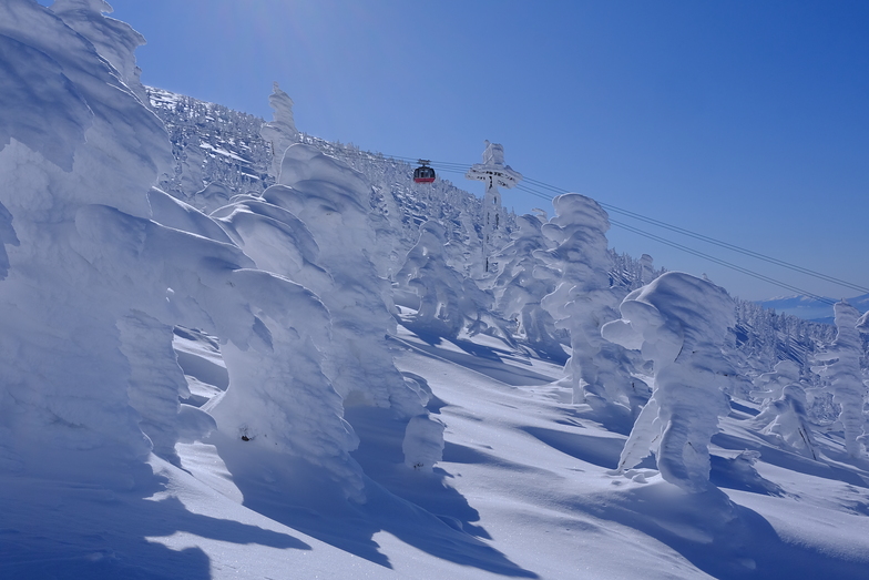 Zao Onsen Top Run, Yamagata Zao Onsen