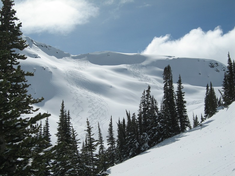 Whitecap terrain, Whitecap Alpine