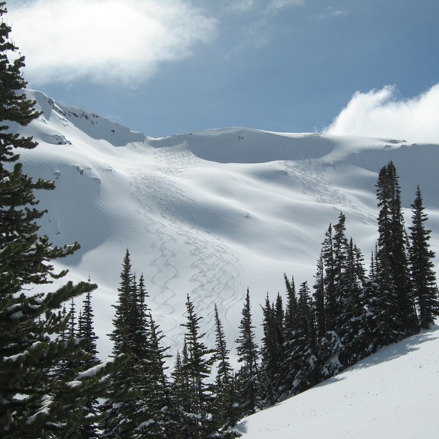 Whitecap terrain, Whitecap Alpine