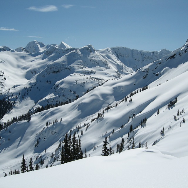 More Whitecap terrain, Whitecap Alpine