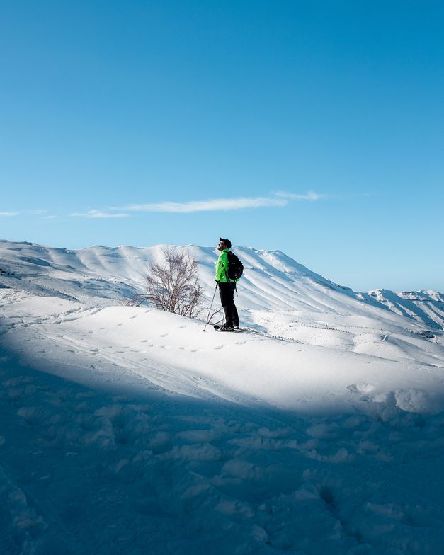 Morning Mount Hike, Cedars