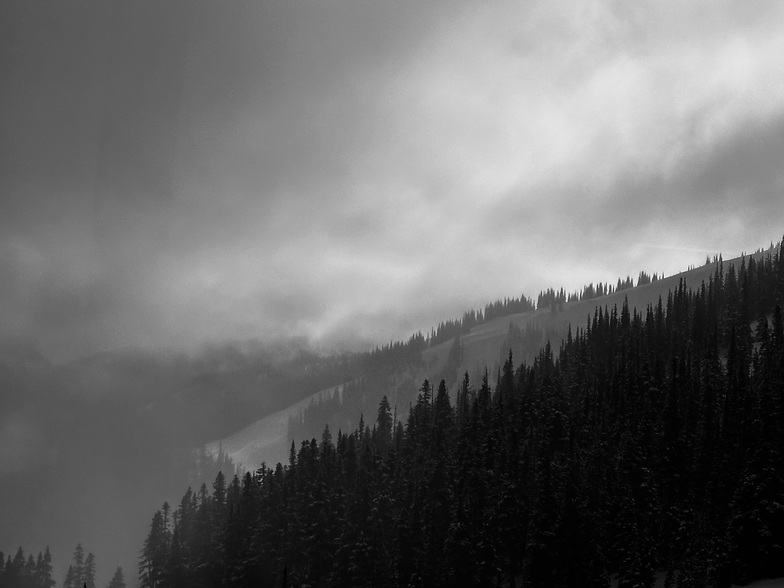 Peak to Peak cloud and trees., Whistler Blackcomb
