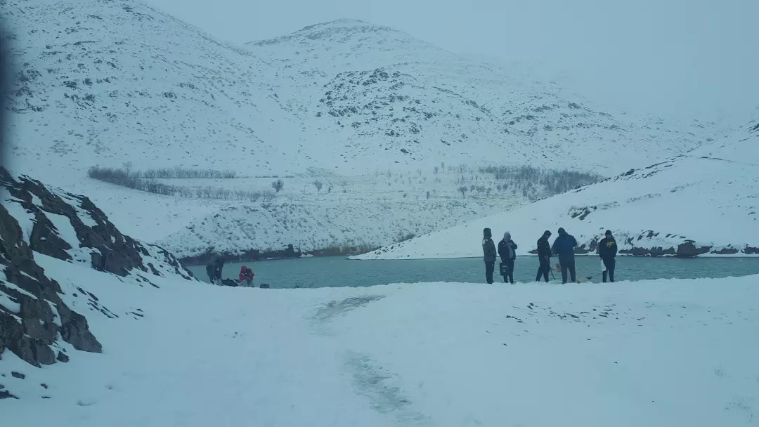 Modar arak, Dizin