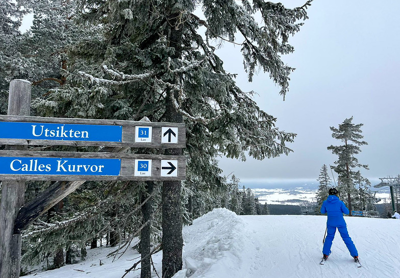 Skidåkning i februari under skolloven på Romme Alpin