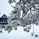 Fresh snow, Romme Alpin