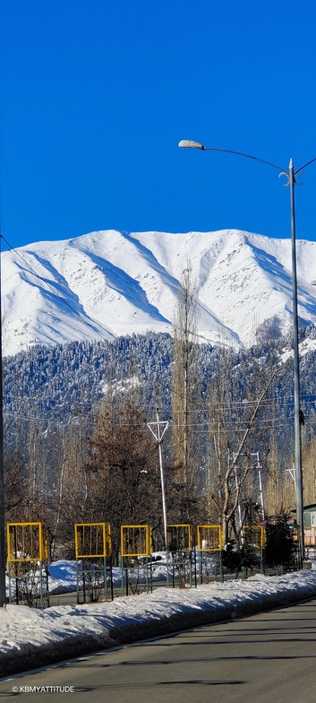 On the Way Gulmarg 