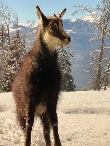 Villars Ski Resort by: Frank Ewald