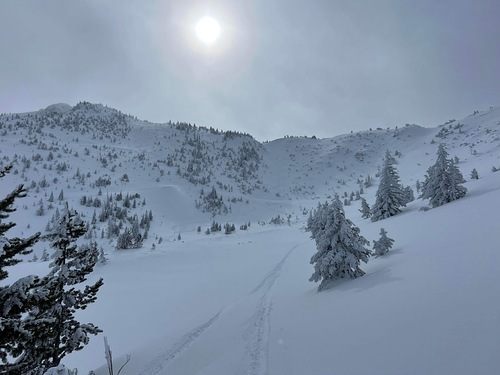 Apex Resort Ski Resort by: rsmid80