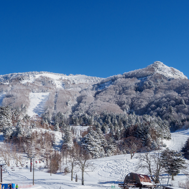 yamaboku, Yamaboku Wild Snow Park