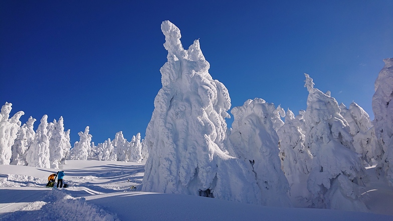 Ice monster, Zao Liza World