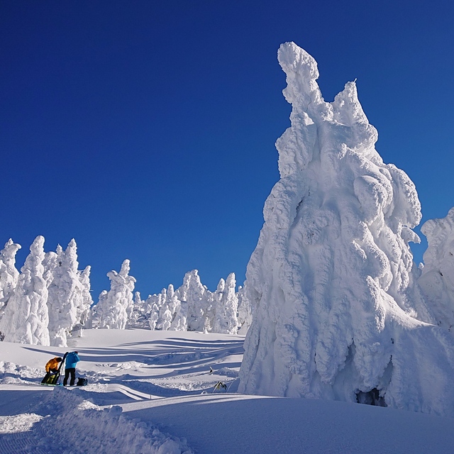 Ice monster, Zao Liza World