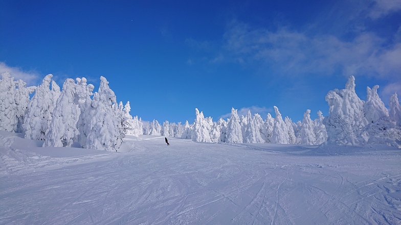 Ice monsters, Zao Liza World