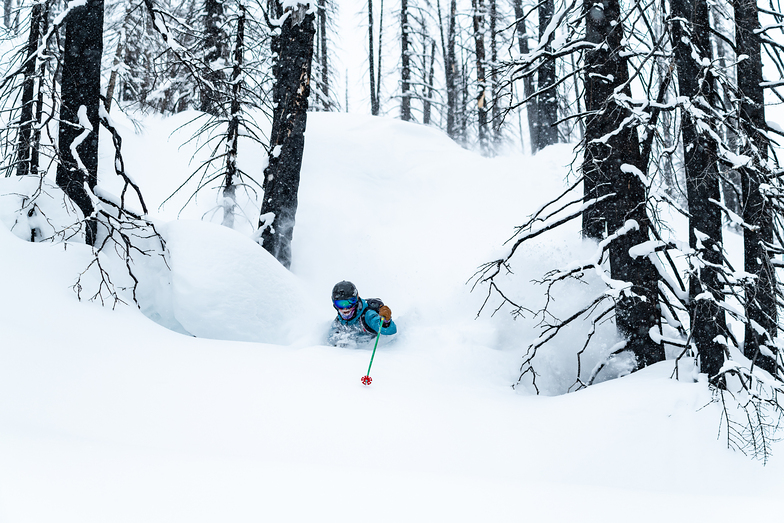 Deep powder day, Mica Heliskiing