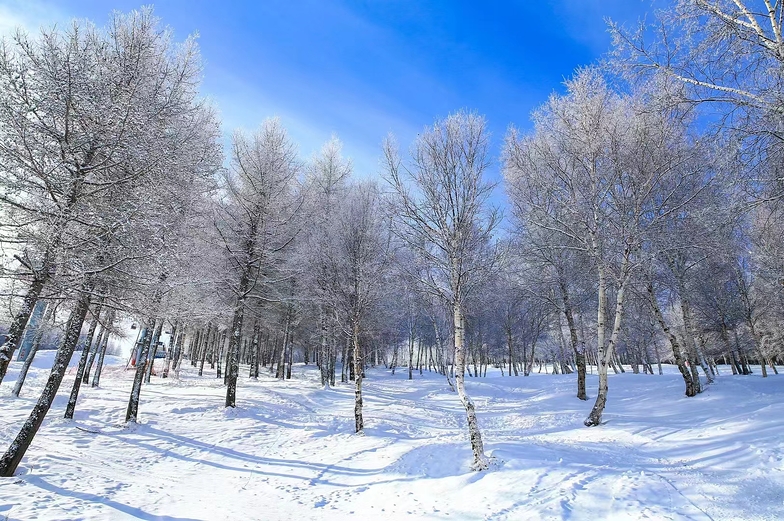 Off-piste Trees ski area, Wanlong