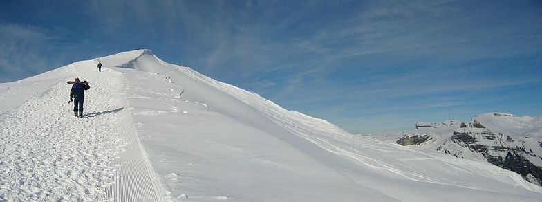 Grindelwald
