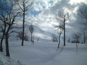 the cedars,lebanon