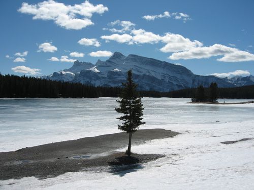 Banff Mt Norquay Ski Resort by: BeRo