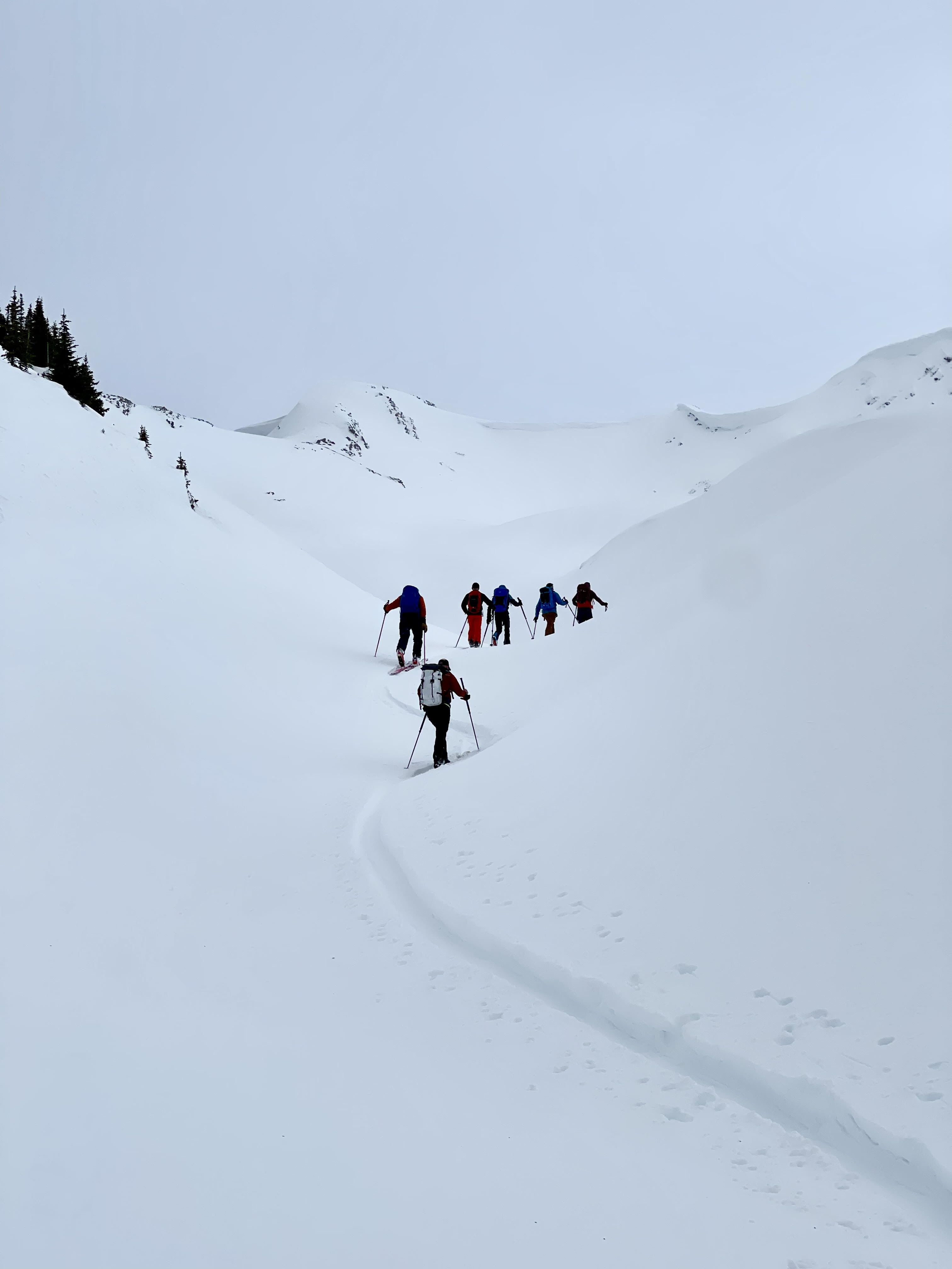 ski touring, Purcell Mountain Lodge