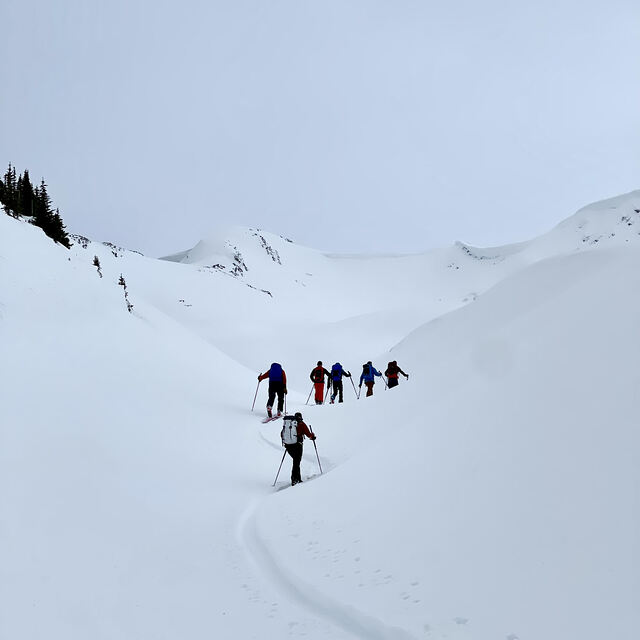 ski touring, Purcell Mountain Lodge