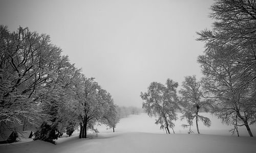 Nozawa Onsen Ski Resort by: Peter Douglas