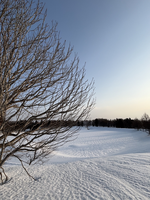 daybreak at sutakako, Nozawa Onsen
