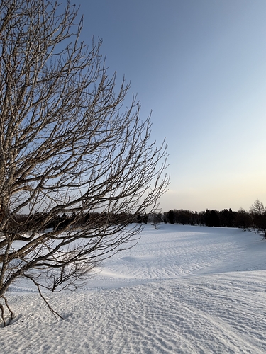 Nozawa Onsen Ski Resort by: Peter Douglas