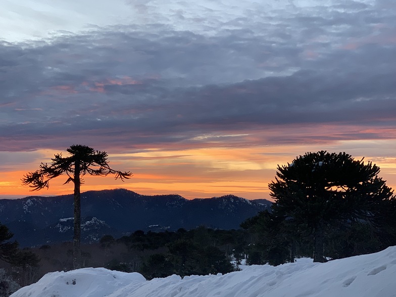 Sunset, by Esteban Meza, Las Araucarias