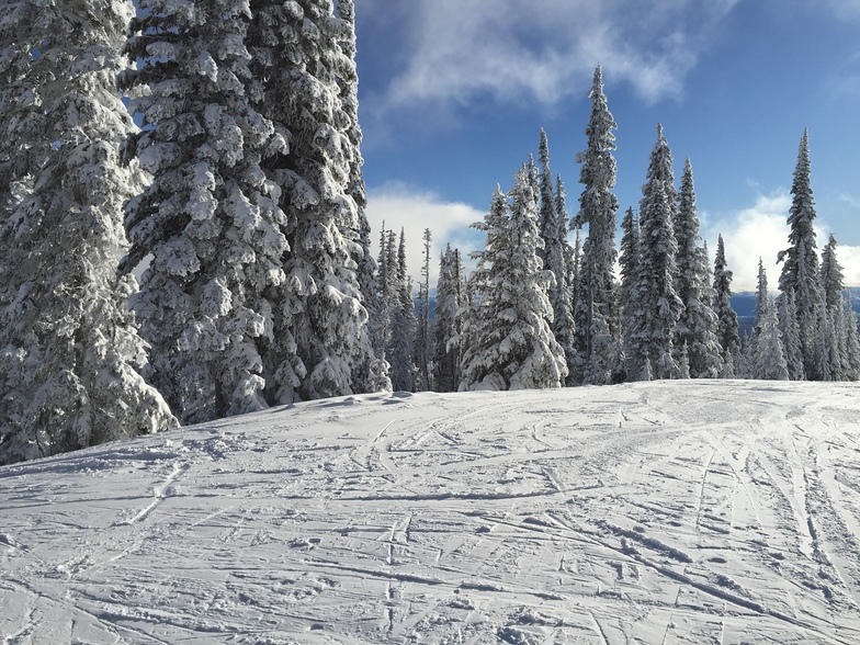Bluebird day on the slopes, Sun Peaks