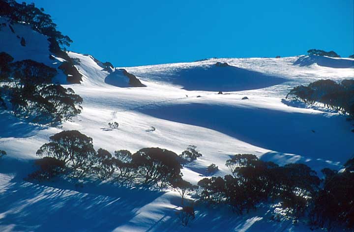 Slopes behind Schlink Pass, Selwyn Snowfields