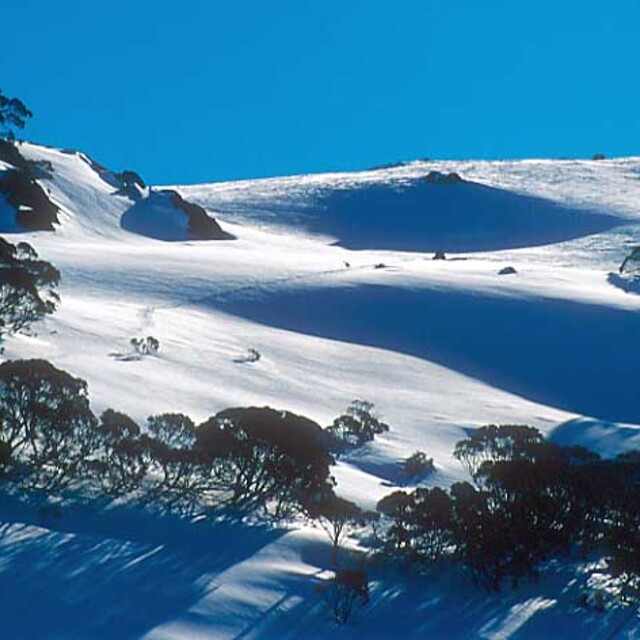 Slopes behind Schlink Pass, Selwyn Snowfields