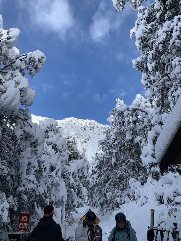 Eager skiers on a pow day!, Craigieburn