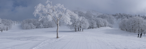 Yamagata Zao Onsen Ski Resort by: Chris Ivin