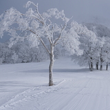 Zao Onsen, Japan - Yamagata