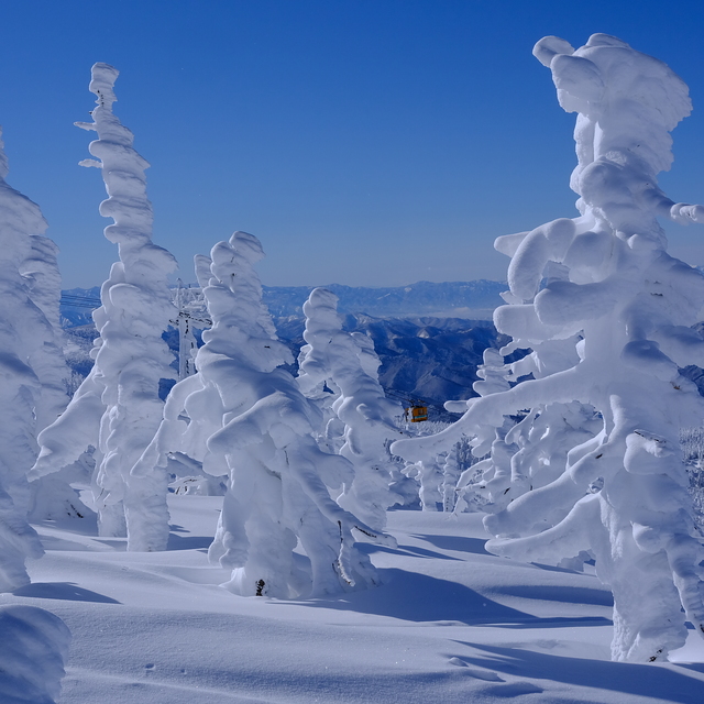 Zao Onsen, Yamagata Zao Onsen