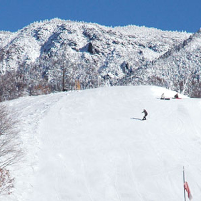 Wonderful snow, Pilatus Tateshina