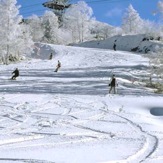 Wonderful snow, Pilatus Tateshina