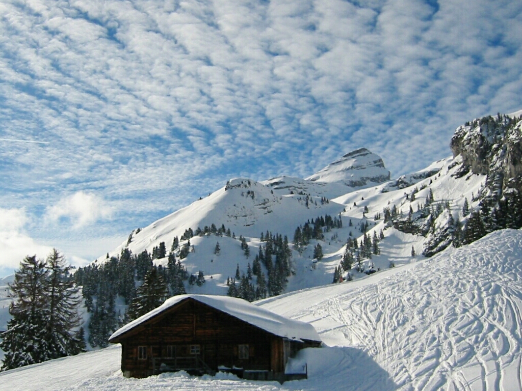 Leysin