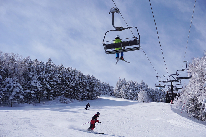 Quad lift, Blanche Takayama