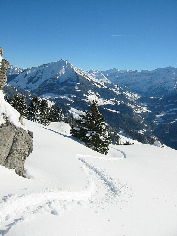 Leysin