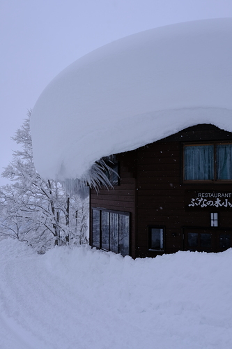 Akakura Kanko Ski Resort by: Chris Ivin